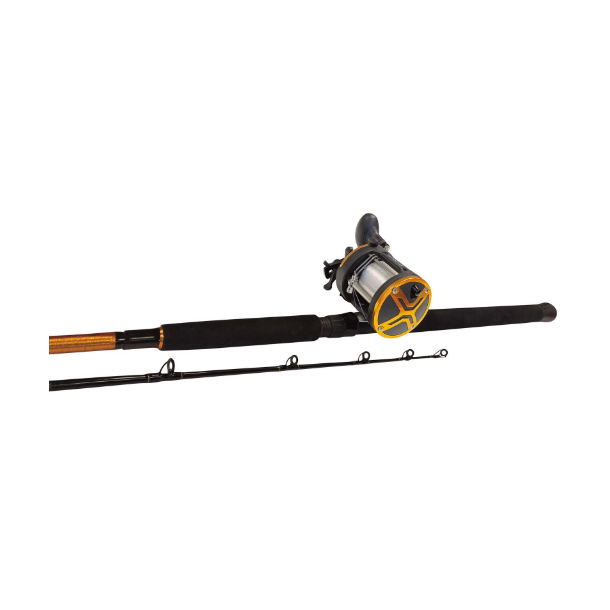 Kinetic Raider CL 6' 180 CM 200-600g - Stangst